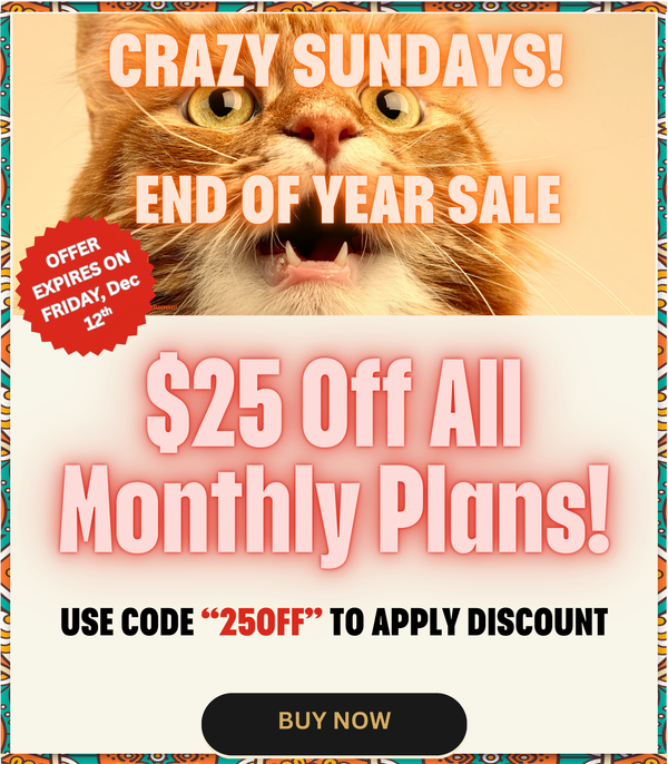 Indian Tiffin Options